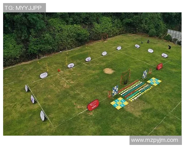 飞盘纪实：南京飞盘队的蜕变与成长之路全景记录