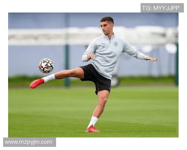 费兰托雷斯的崛起之路：从青训天才到足球巨星的华丽转身